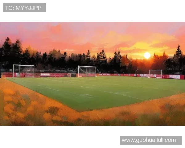 足球明星高清插图壁纸精选展示让你感受绿茵场上的激情与魅力